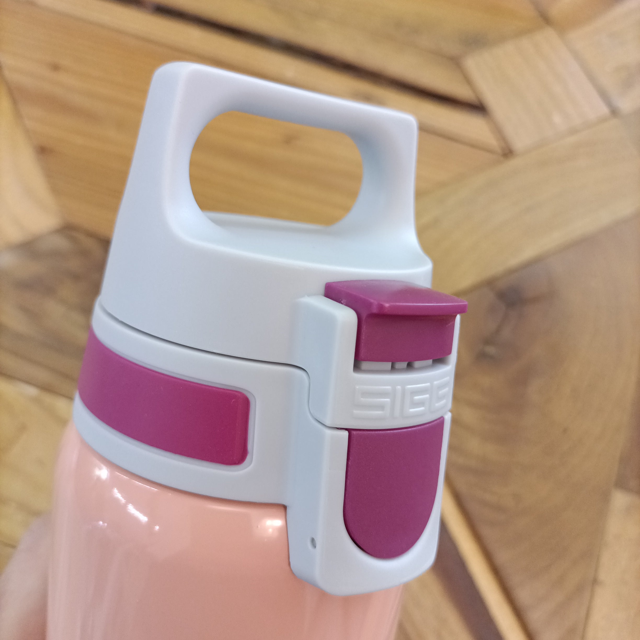 Borraccia SIGG in acciaio 0.50 lt - Cameleonte rosa